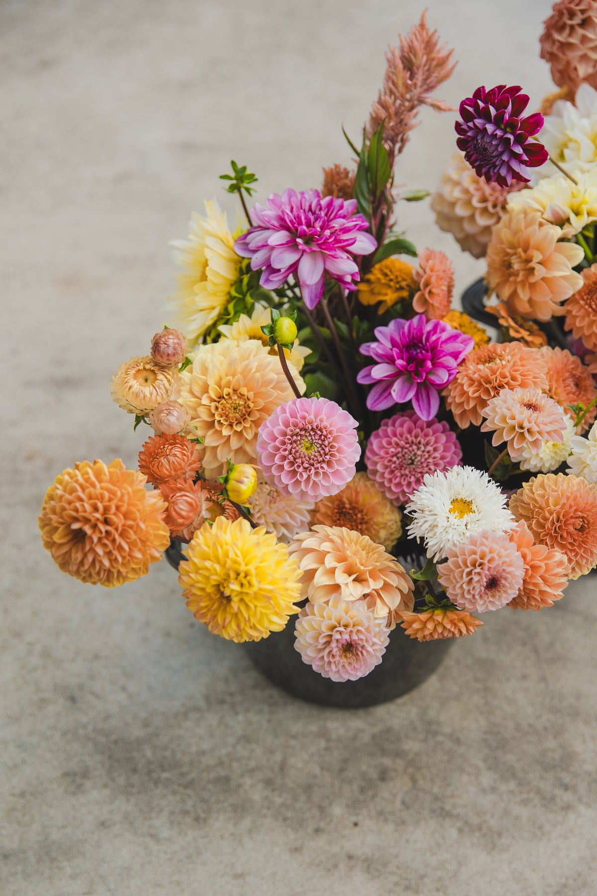 Bloom Bucket