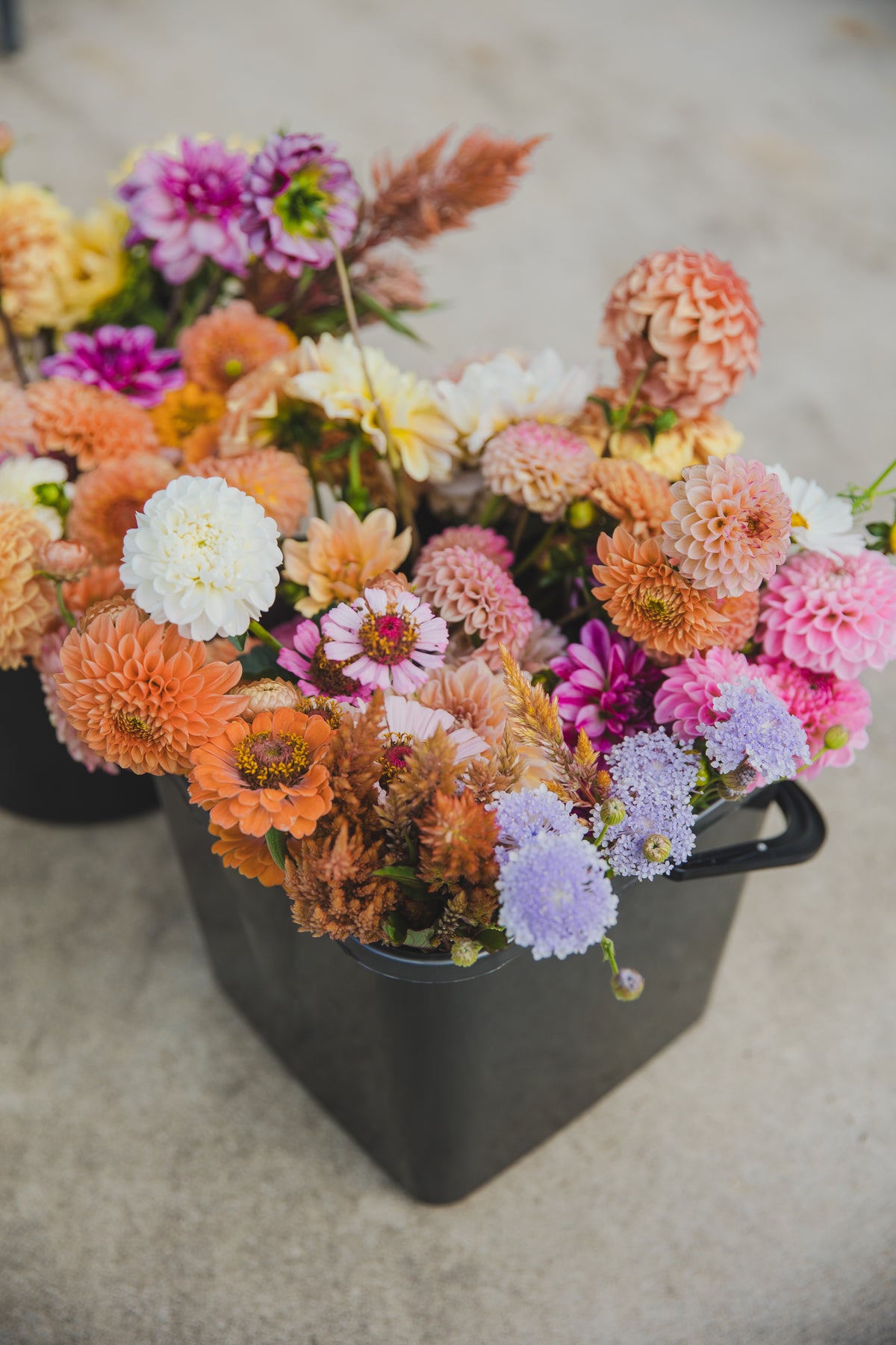 Bloom Bucket