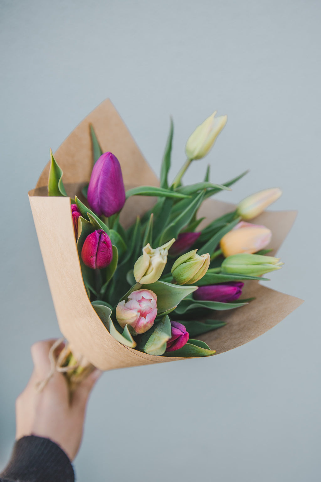 Tulip Subscription