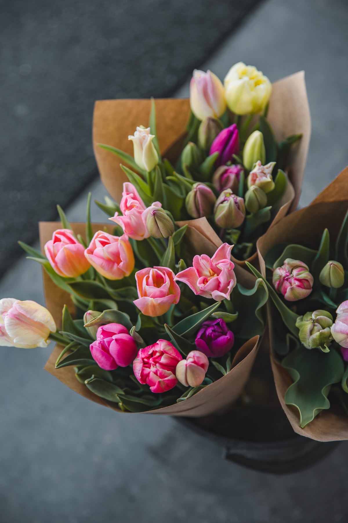 Tulip Subscription
