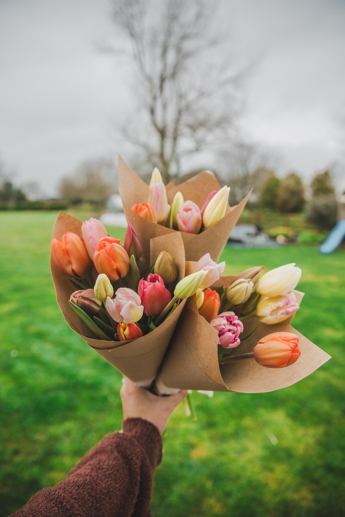 Mixed tulip Bunches
