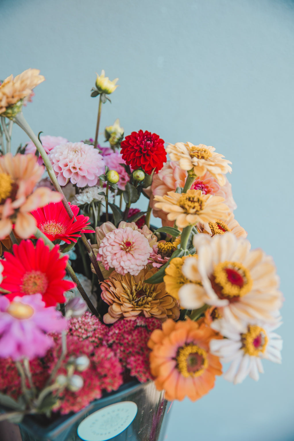 Bloom Bucket