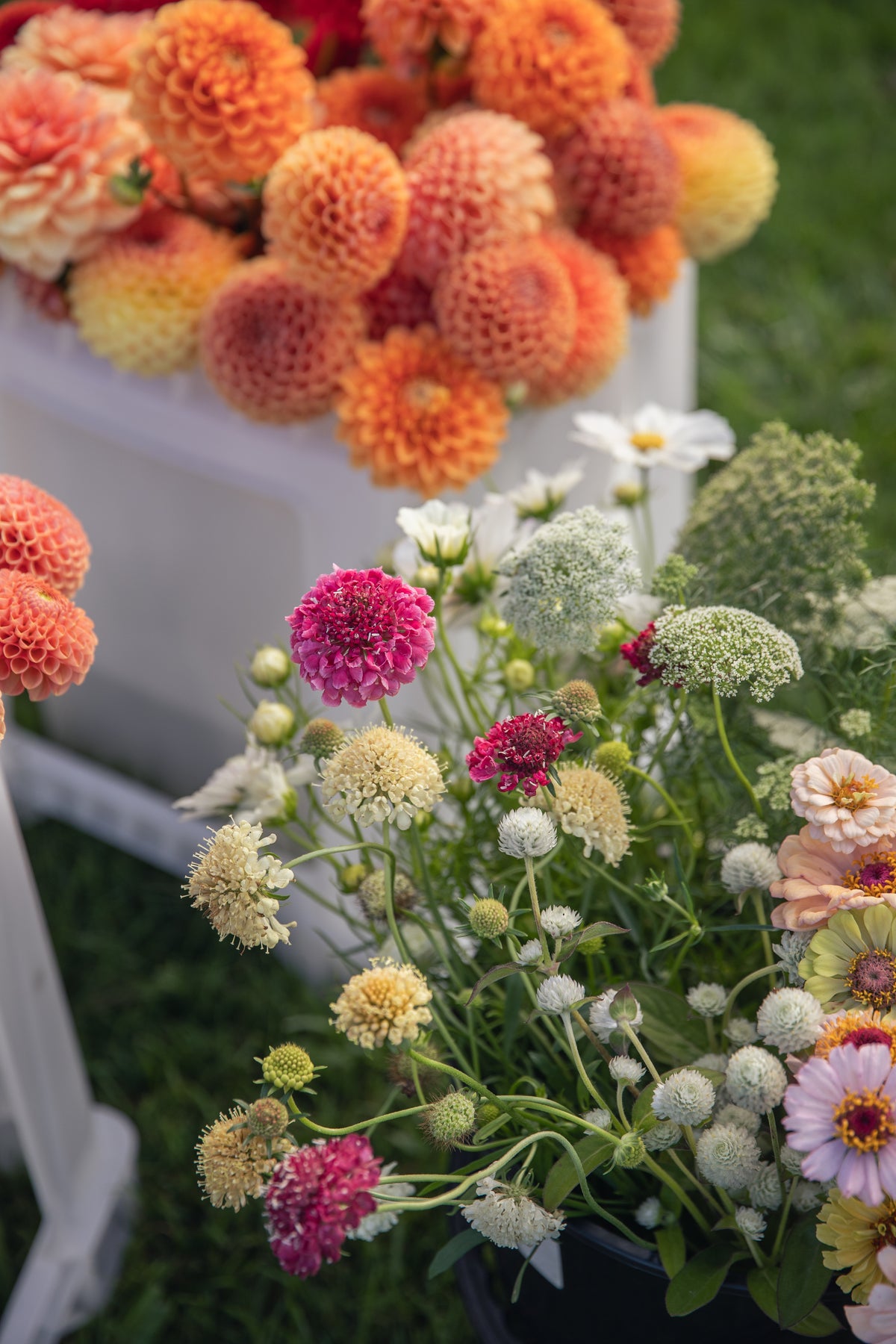 Bloom Bucket