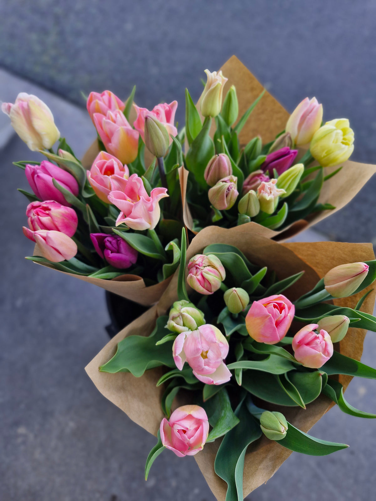 Mixed tulip Bunches
