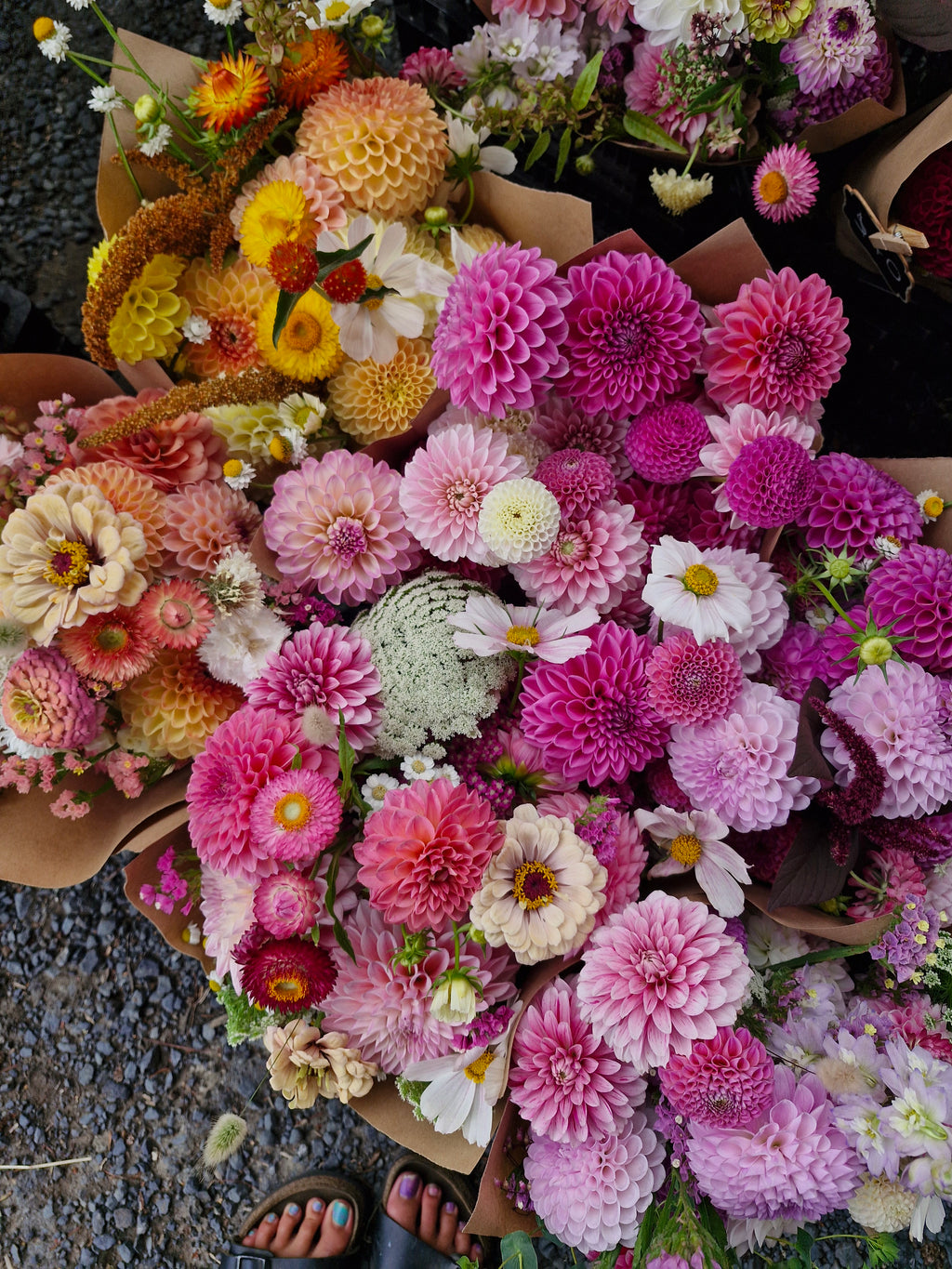Bloom Bucket