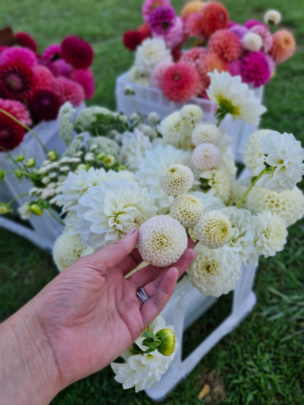 Bloom Bucket