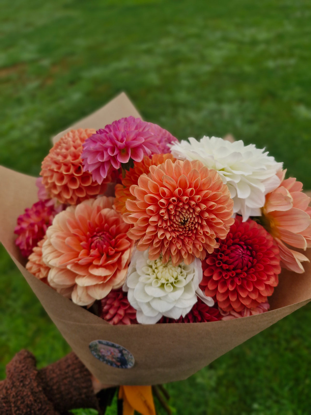 Jowey Linda Dahlia