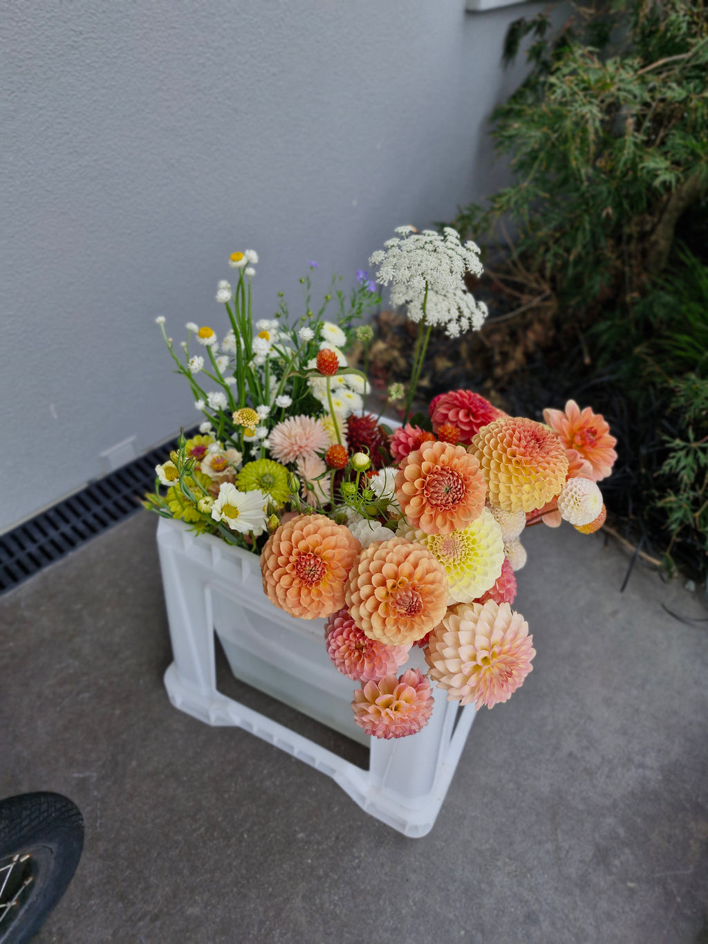 Bloom Bucket