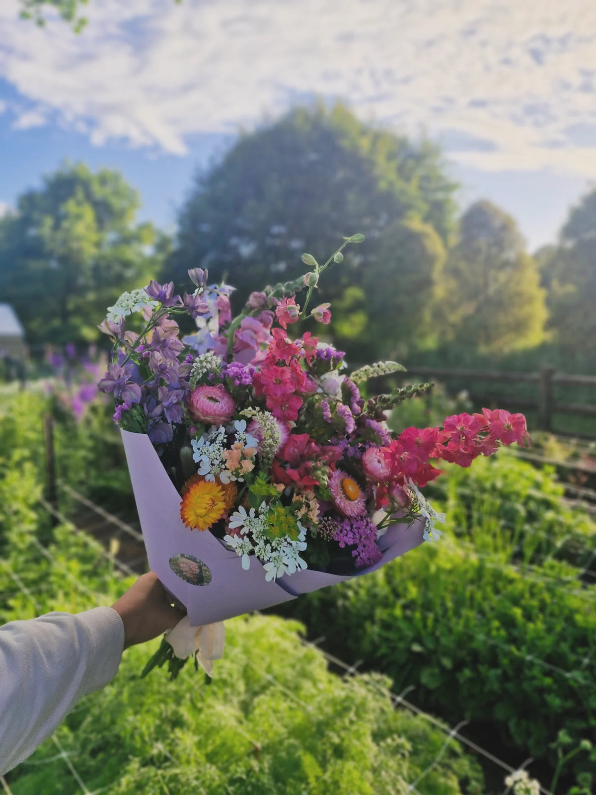 Seasonal Bunch
