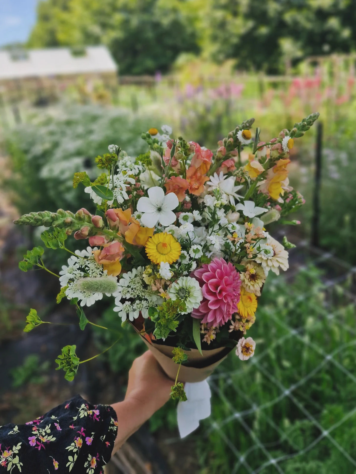 Seasonal Bunch