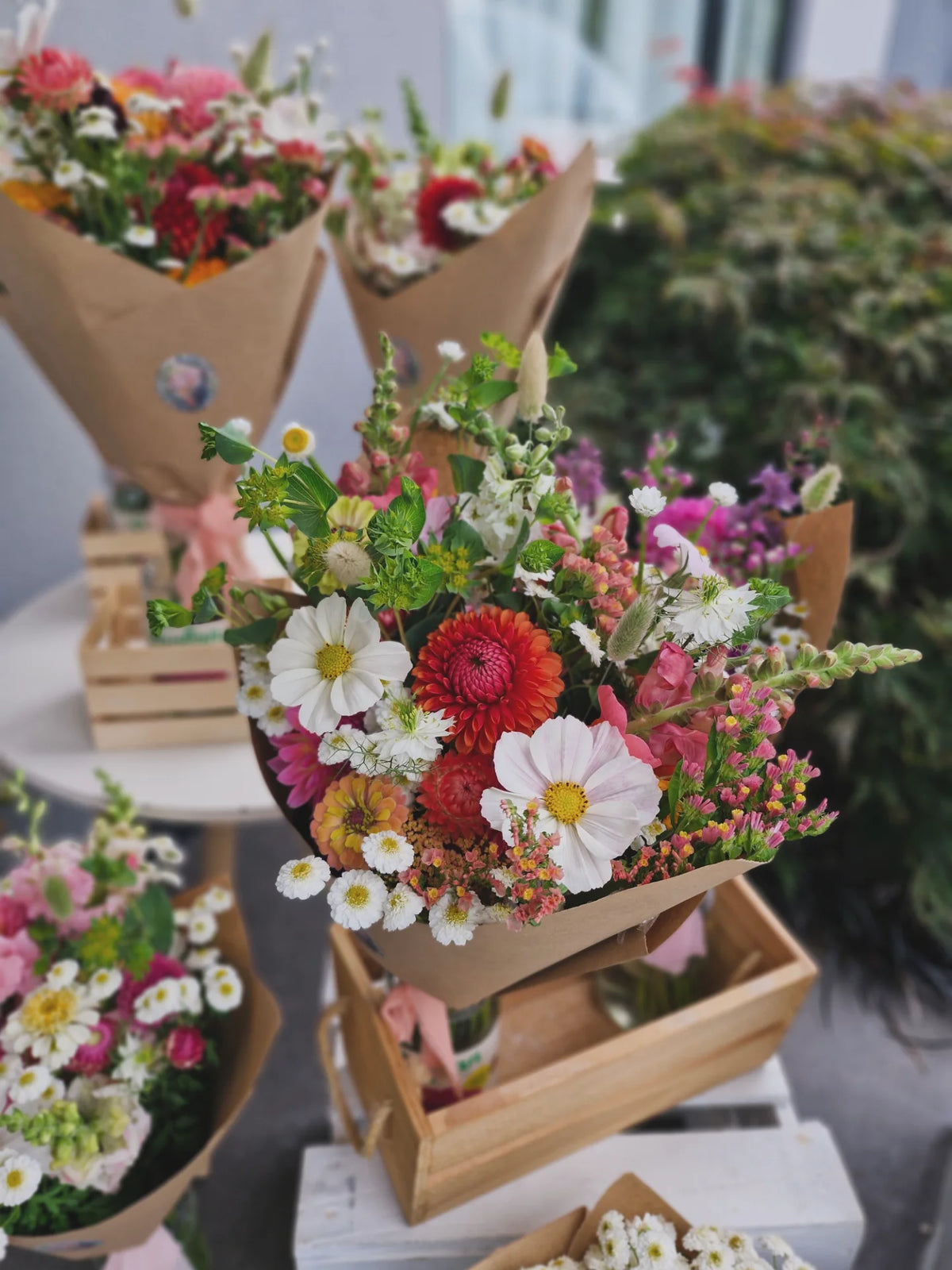 Seasonal Bunch