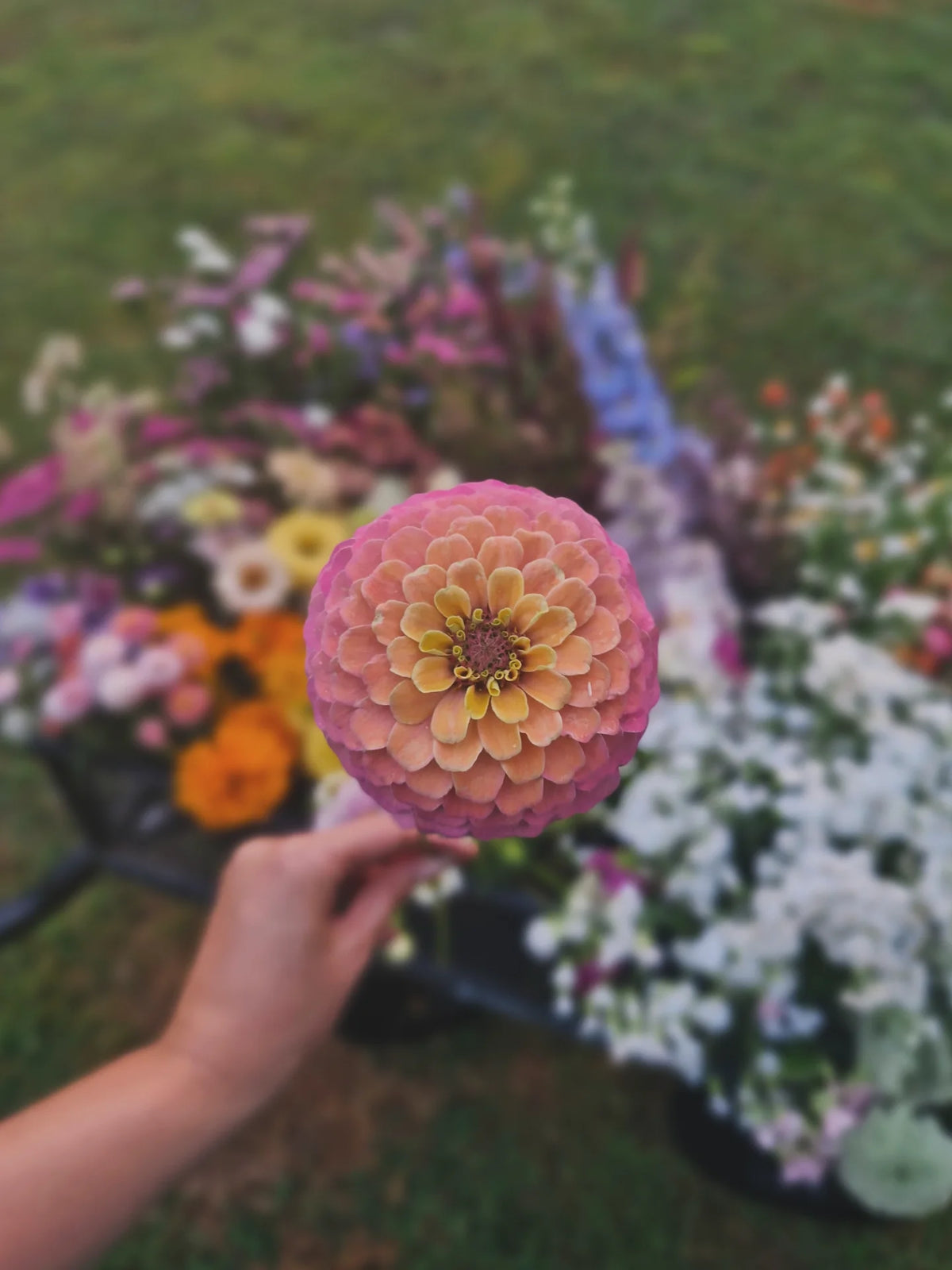 Bloom Bucket