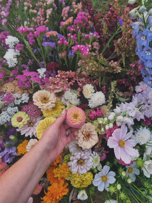 Bloom Bucket